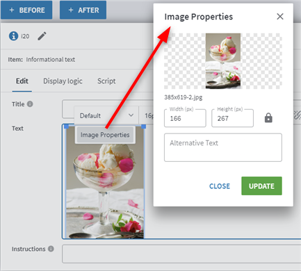 Image Properties UI